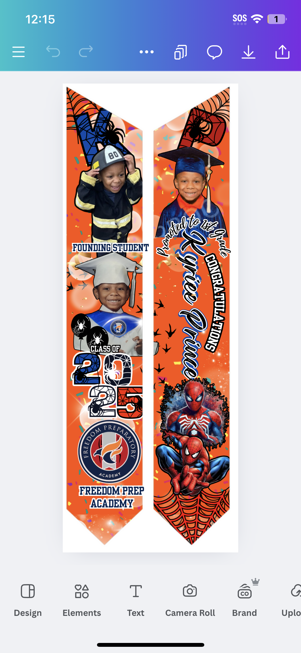CUSTOMIZED GRADUATION STOLE (ONLY 1 STOLE)